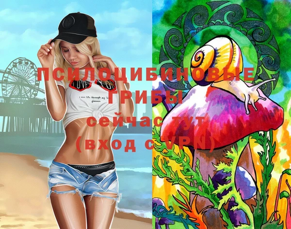 а пвп мука Алзамай